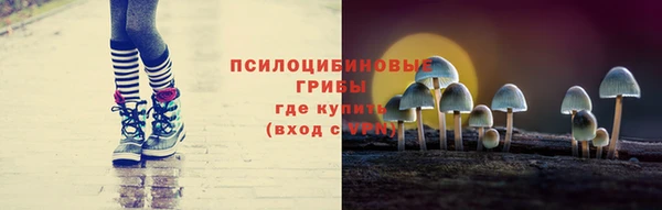 спиды Майский