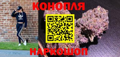 прущие крисы Будённовск
