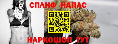 прущие крисы Будённовск
